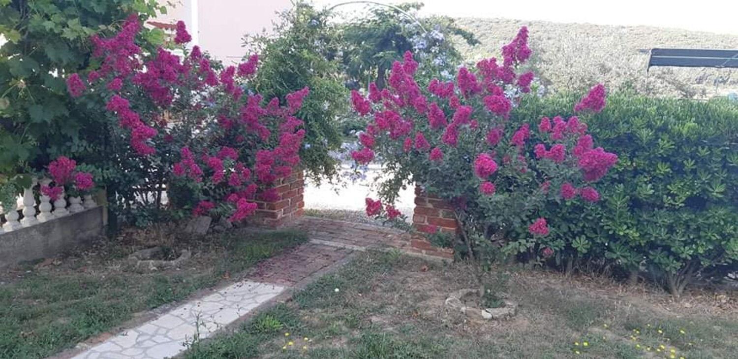 Apartments Robi- Swimming Pool And Beautiful Garden Kampor Esterno foto